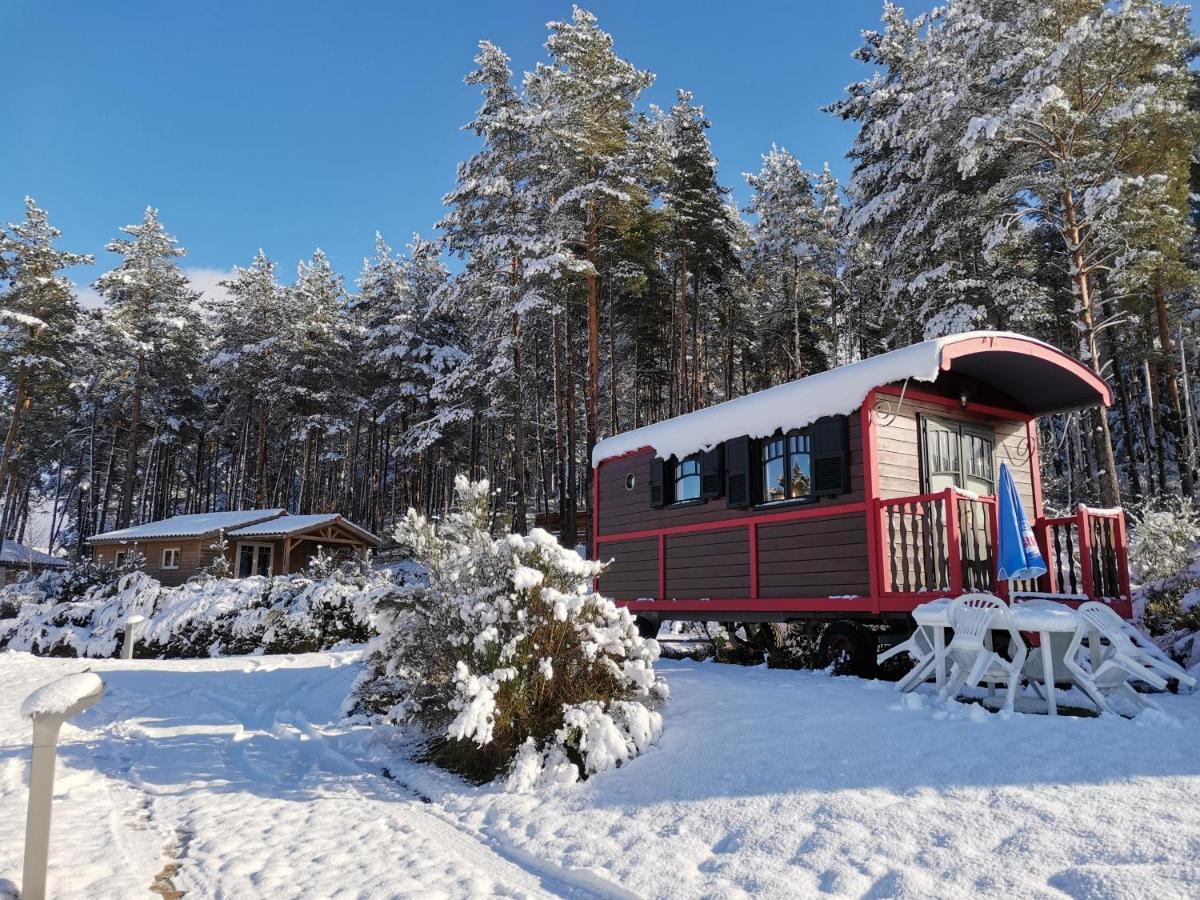 Les Chalets Du Haut-Forez Usson-en-Forez المظهر الخارجي الصورة