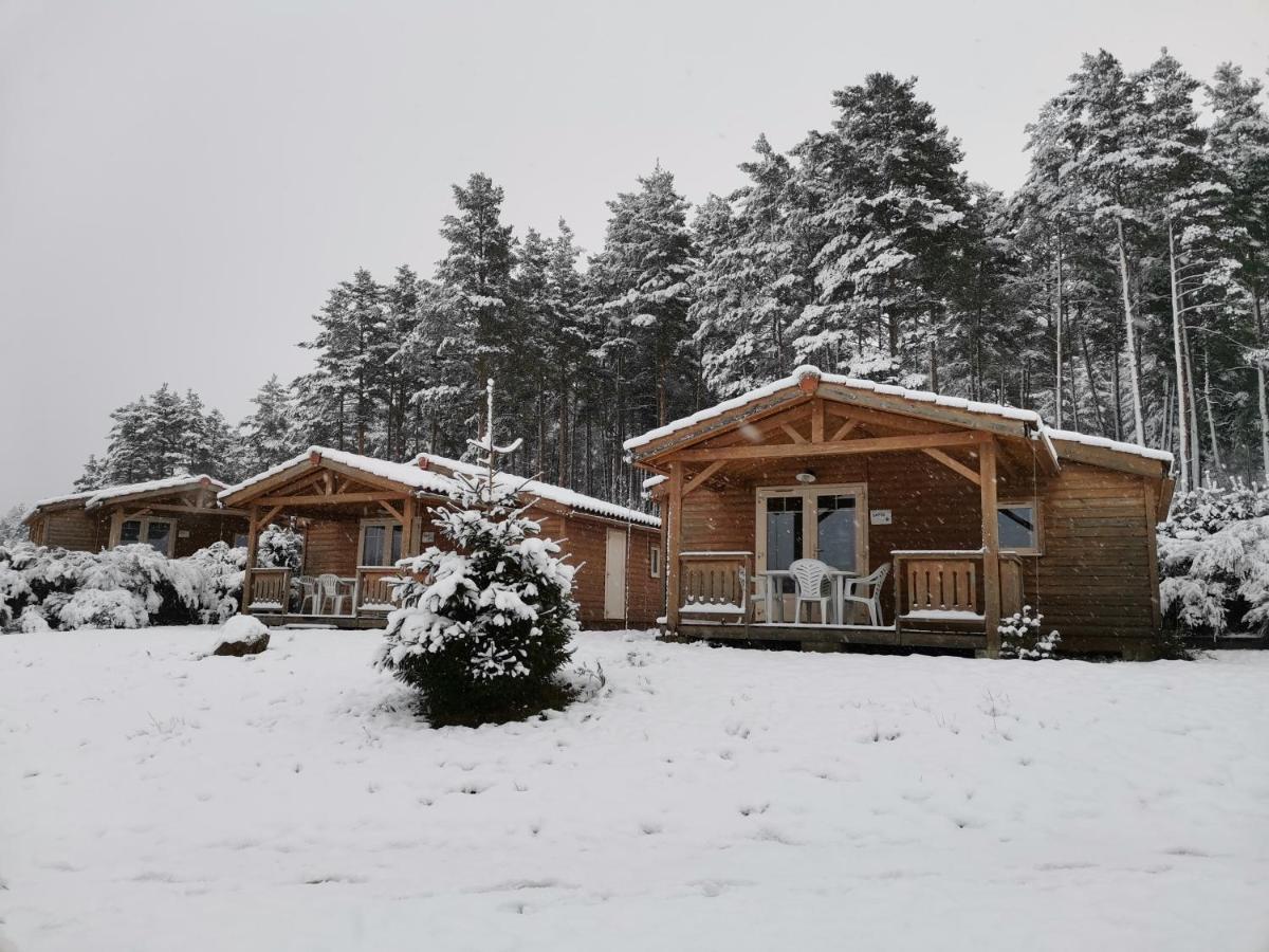 Les Chalets Du Haut-Forez Usson-en-Forez المظهر الخارجي الصورة