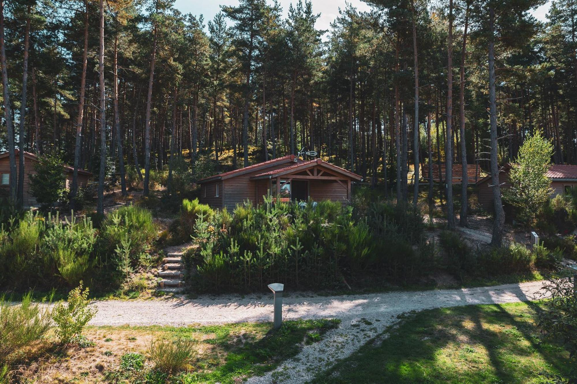 Les Chalets Du Haut-Forez Usson-en-Forez المظهر الخارجي الصورة