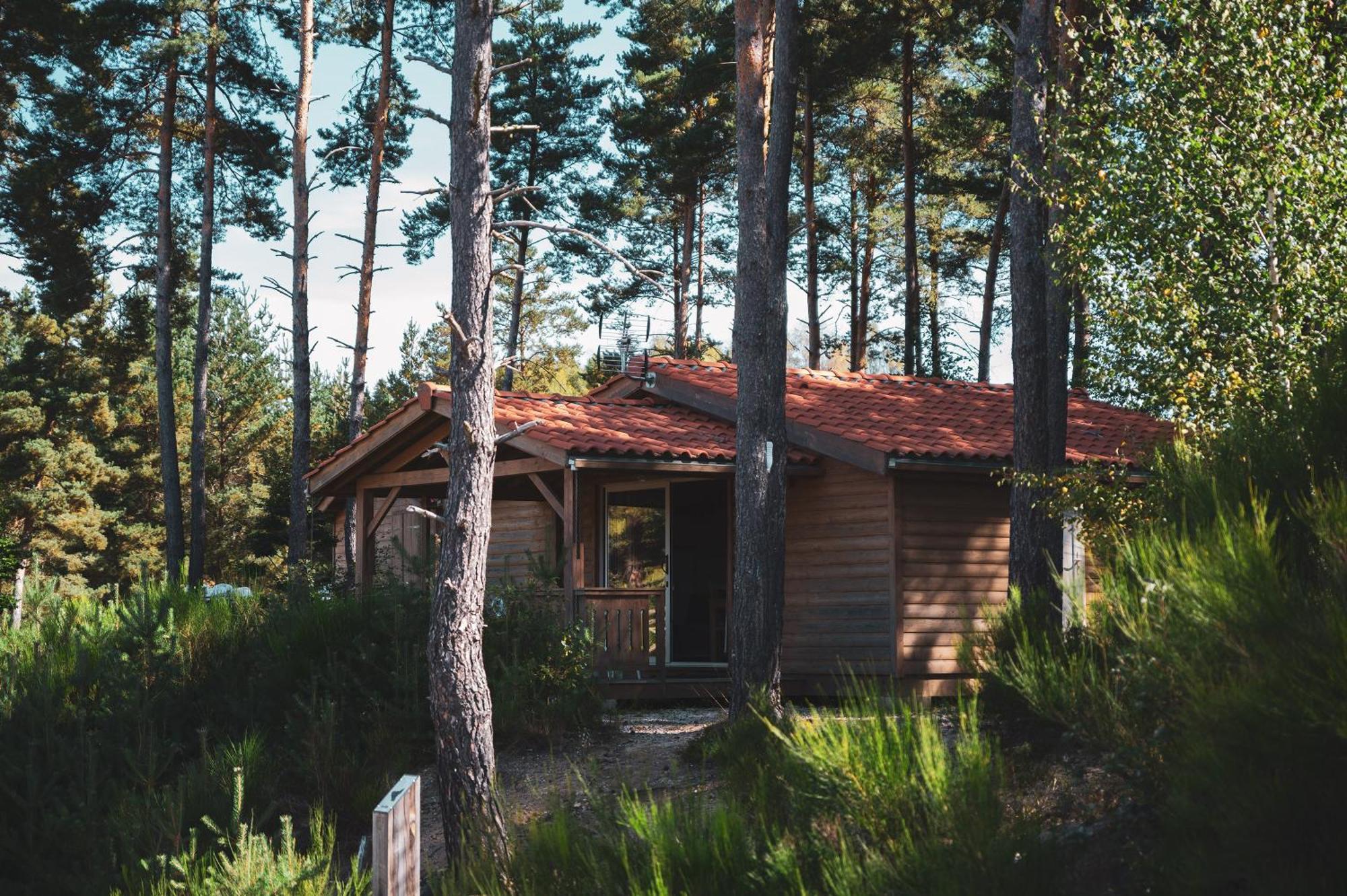 Les Chalets Du Haut-Forez Usson-en-Forez المظهر الخارجي الصورة