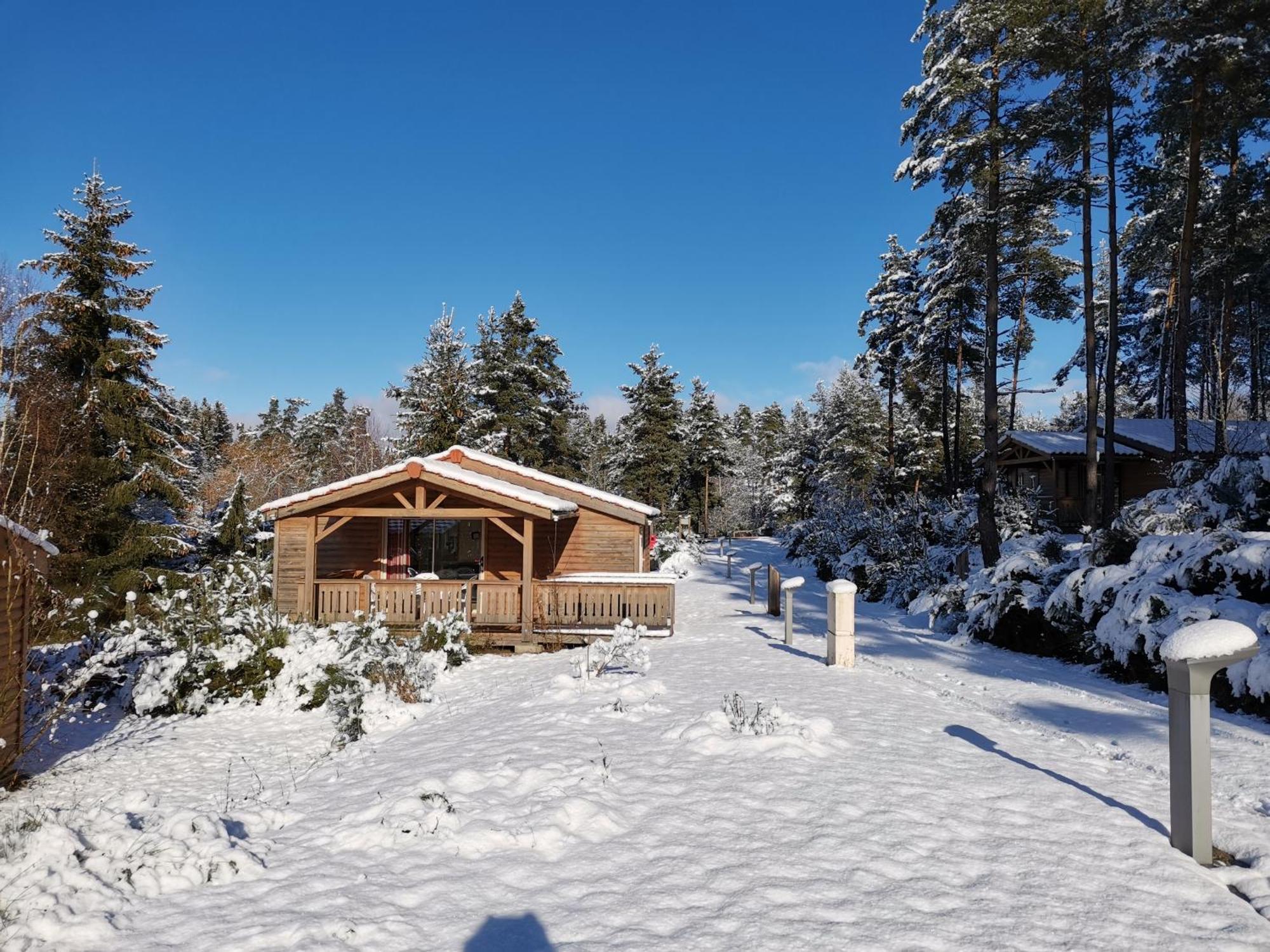 Les Chalets Du Haut-Forez Usson-en-Forez الغرفة الصورة